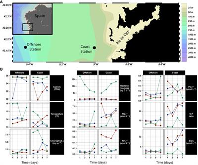 Coastal upwelling systems as dynamic mosaics of bacterioplankton functional specialization